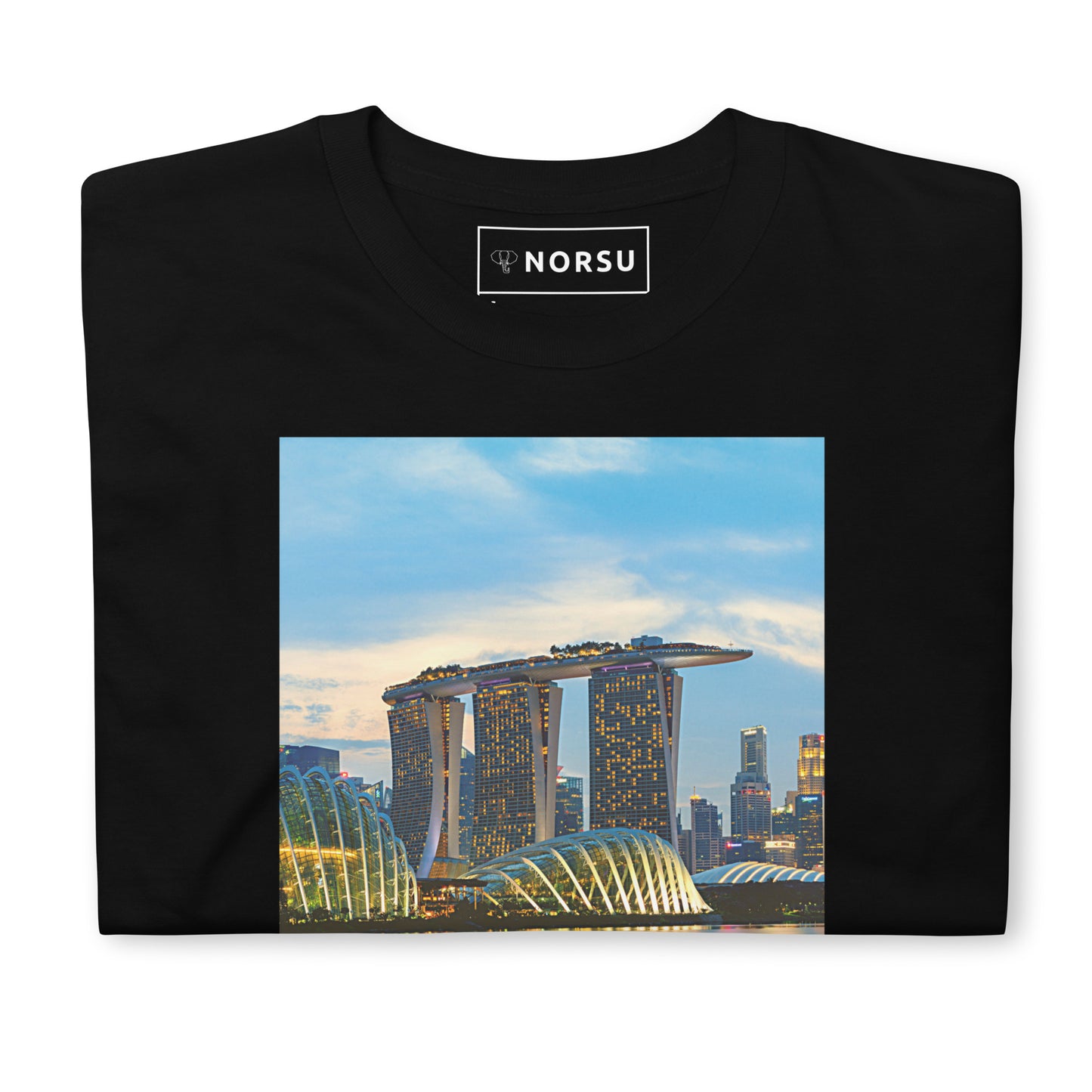 Μαύρο Ανδρικό T-shirt - Σιγκαπούρη Sky Park